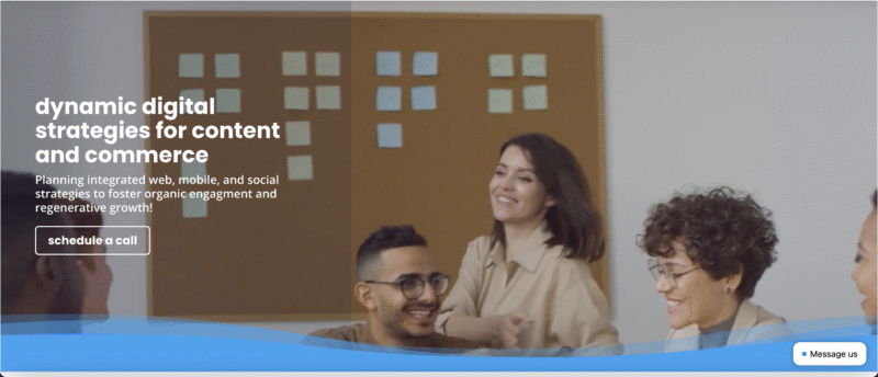 Digital Strategy Works Hero Banner screenshot as an example